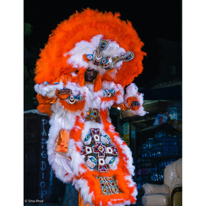 Illustration BLACK INDIANS TO THE CASAMANCE RIVER