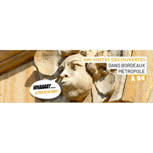 Illustration Bordeaux nous envoie balader !