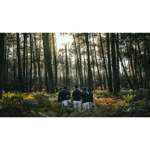 Illustration Boulevard des Airs