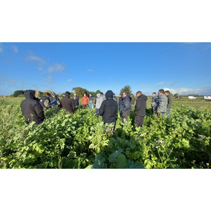 Illustration Bout de champ - Agriculture de conservation des sols (49)