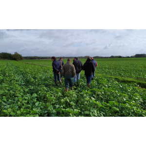 Illustration Bout de champ : agriculture de conservation des sols (72)