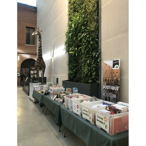 Illustration Braderie de la boutique et des bibliothèques du Muséum
