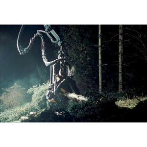 Illustration C'est pas la fin du monde