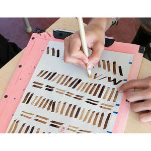 Illustration Calligraphie à la romaine