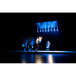 Illustration Catarina Miranda - ΛƬSUMOЯI