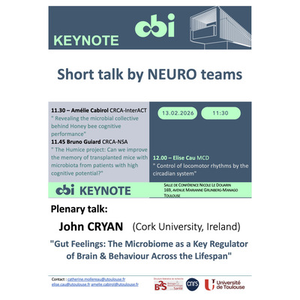 Illustration CBI Keynote NEURO - Short talk by Amélie Cabirol, Bruno Guiard, Elise Cau