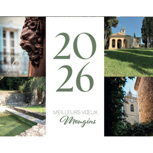 Illustration CÉRÉMONIE DES VOEUX 2026