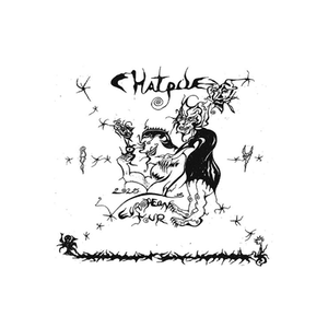 Illustration Chat Pile | La Coopérative de Mai