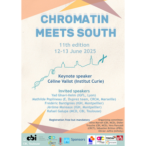 Illustration "Chromatin Meets South"
