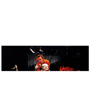 Illustration Cie La Vouivre et Les Percussions Claviers de Lyon : Printemps | Le Sémaphore