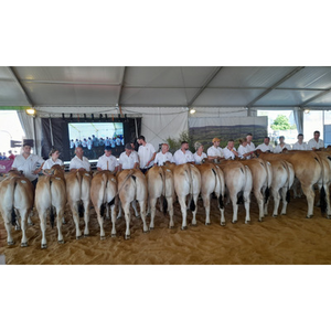 Illustration CIMA 53, le rendez-vous de l’agriculture mayennaise ! (53)