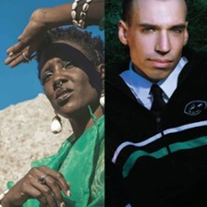 Illustration Cindy Pooch