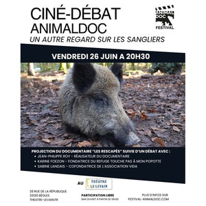 Illustration CINÉ-DÉBAT : Un autre regard sur les sangliers