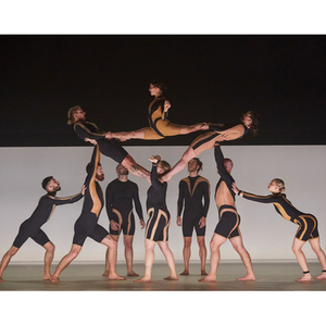 Illustration Circa - Wolf