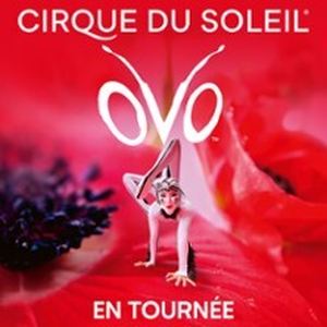 Illustration Cirque du Soleil - Ovo - Tournée