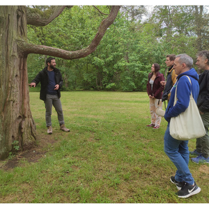 Illustration City Nature Challenge à Colomiers