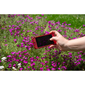 Illustration City Nature Challenge au Muséum de Toulouse