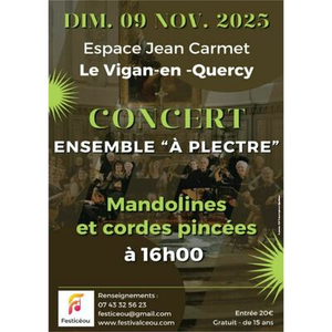 Illustration Concert À plectre