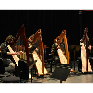 Illustration Concert des Polyphoniques