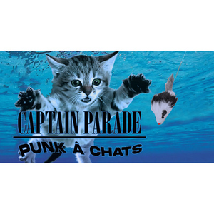 Illustration Concert - rock « Punk à chats »