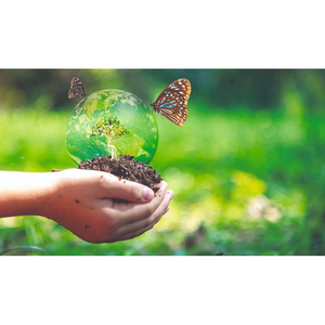 Illustration Conférence : l'état de la biodiversité