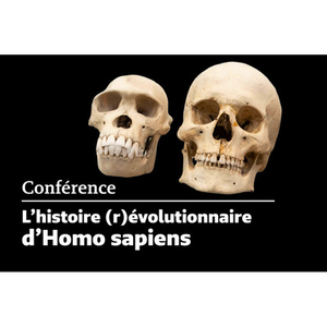 Illustration Conférence : l'histoire (r)évolutionnaire d'Homo sapiens