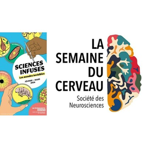 Illustration Conférence : L’œil et le cerveau, fabrique du visible