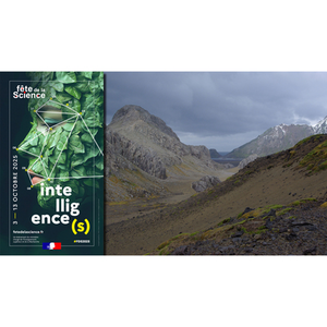 Illustration Conférence : Recherches dans les Terres Australes et Antarctiques Françaises (histoire, présent et avenir)