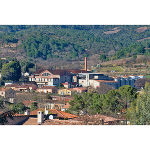 Illustration Conférence : Un patrimoine vivant au cœur de nos villages : réhabiliter les caves coopératives