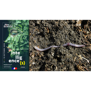 Illustration Conférence : Un ver de terre averti n'en fait pas deux