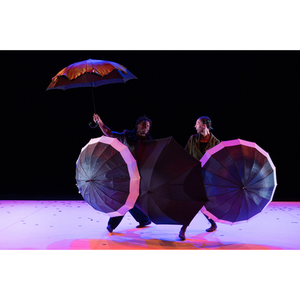 Illustration Coquilles - Amala Dianor