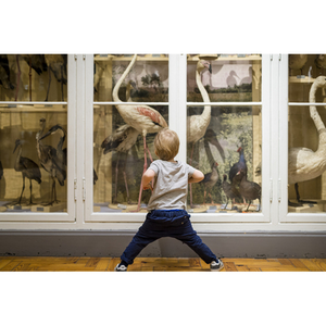 Illustration Création de poésie à hauteur des tout-petits / Atelier participatif autour des tapis sensoriels