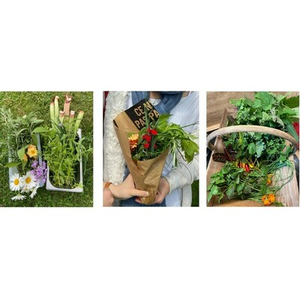 Illustration Cycle Permaculture : Création d'un jardin comestible en Permaculture