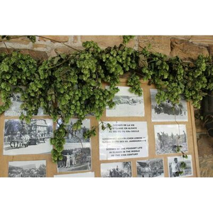 Illustration Dans la houblonnière