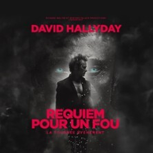 Illustration David Hallyday - Requiem pour un Fou - Tournée