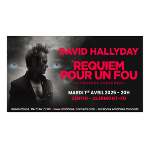 Illustration David Hallyday : Requiem pour un Fou | Zénith d'Auvergne