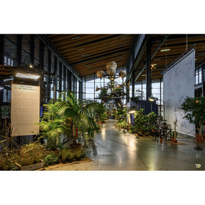 Illustration De l’art et des graines, voyage artistique et scientifique au cœur de l’Aéroflorale II