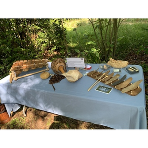 Illustration Découverte des instruments de musique du monde au Muséum