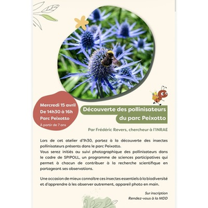 Illustration Découverte des pollinisateurs du parc Peixotto