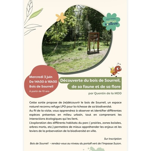 Illustration Découverte du bois de Sourreil