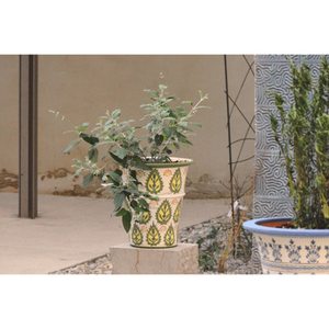 Illustration Découverte du jardin botanique de la Fondation Bullukian