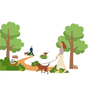 Illustration Découvrir la biodiversité et adopter les bons gestes avec son chien ou face aux chiens
