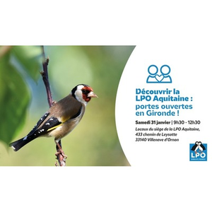 Illustration Découvrir la LPO Aquitaine : matinée portes ouvertes !