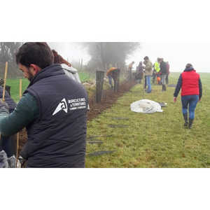 Illustration Démonstration de taille de formation des haies et fruitiers (49)