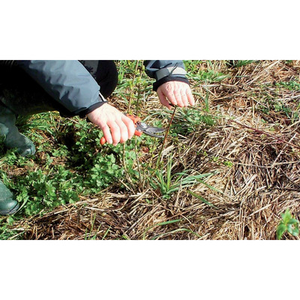 Illustration Démonstration de taille et entretien de haies champêtres et arbres (72)