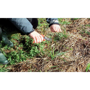 Illustration Démonstration de taille et entretien de haies champêtres et arbres (72)