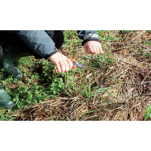 Illustration Démonstration de taille et entretien de haies champêtres et arbres (72)