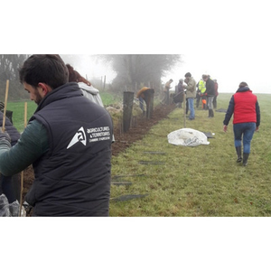 Illustration Démonstrations de plantation, de création de têtards et de taille de formation des haies (53)