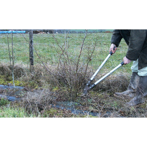Illustration Démonstrations de taille de formation des haies et agroforesteries