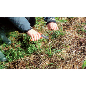 Illustration Démonstrations de taille et entretien de jeunes et anciennes haies en Vendée (85)
